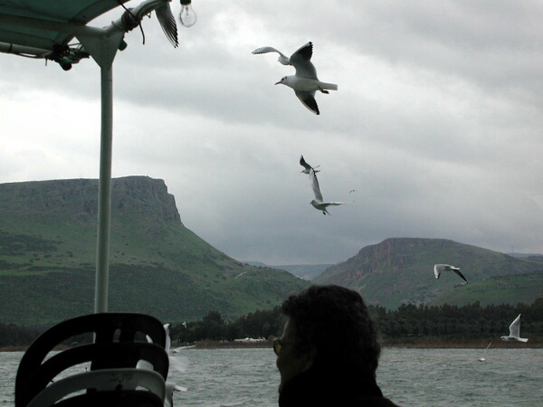 5. Februar 2005, 11.31.38 KINNERET