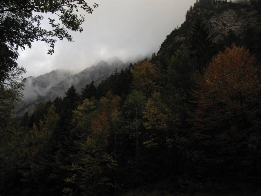IMG_0630.JPG