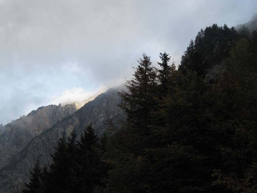 IMG_0655.JPG