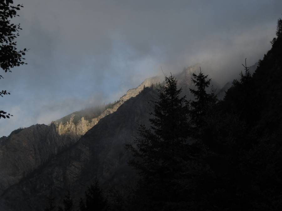 IMG_0661.JPG