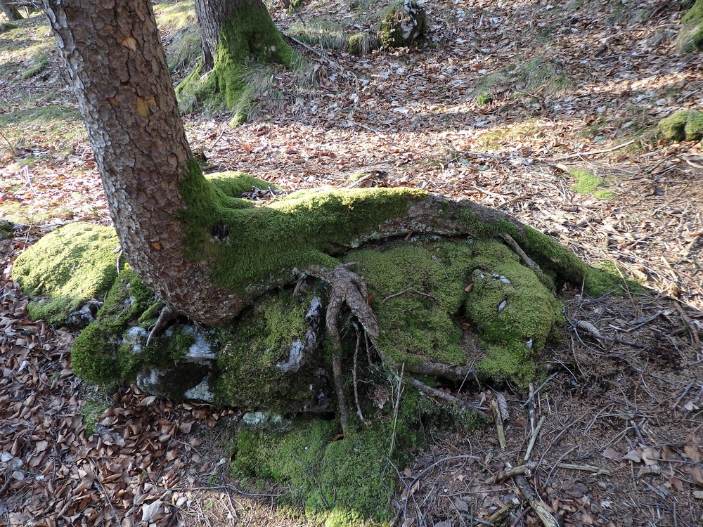 P3181052.JPG