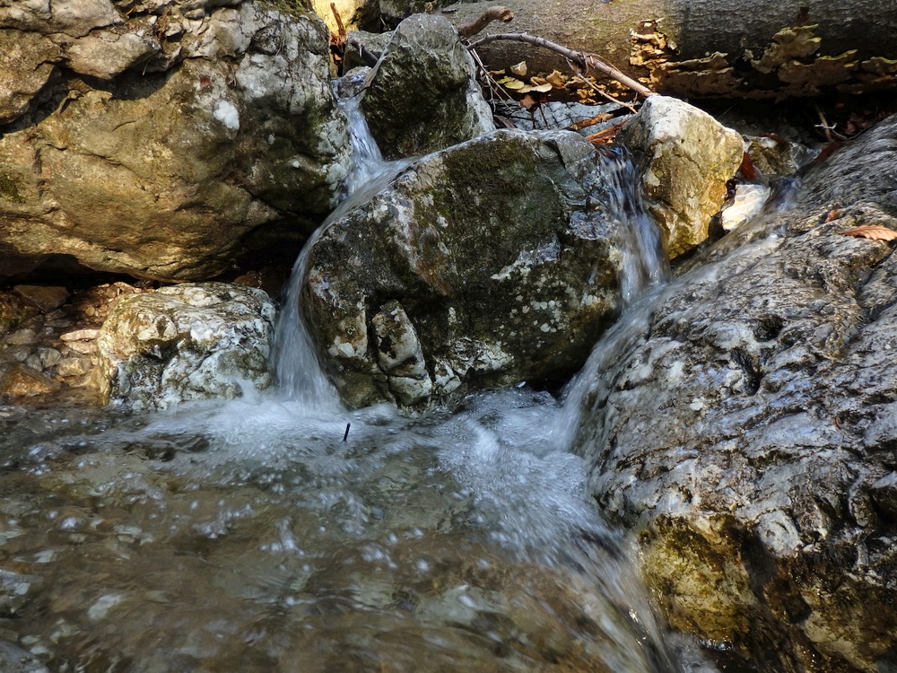 P3181076.JPG