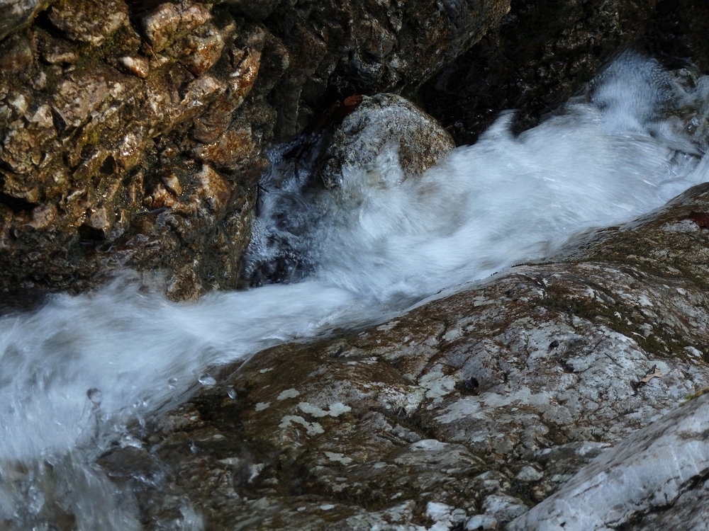 P3181090.JPG