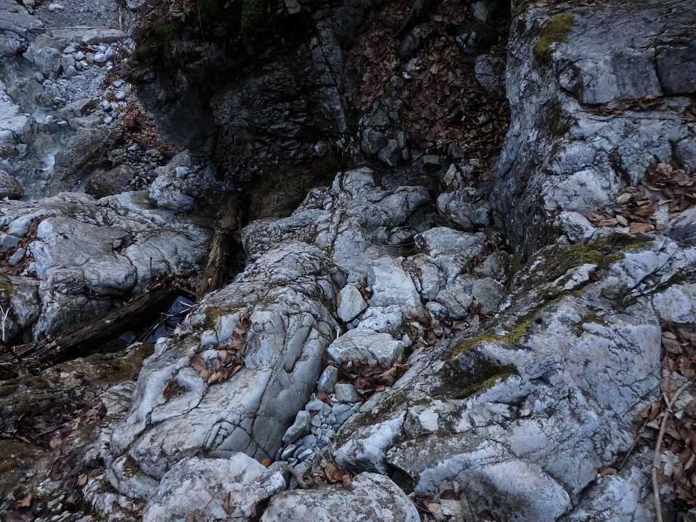 P3181096.JPG