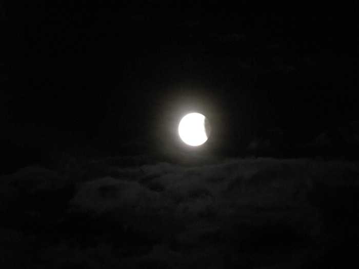 IMG_5023.JPG
