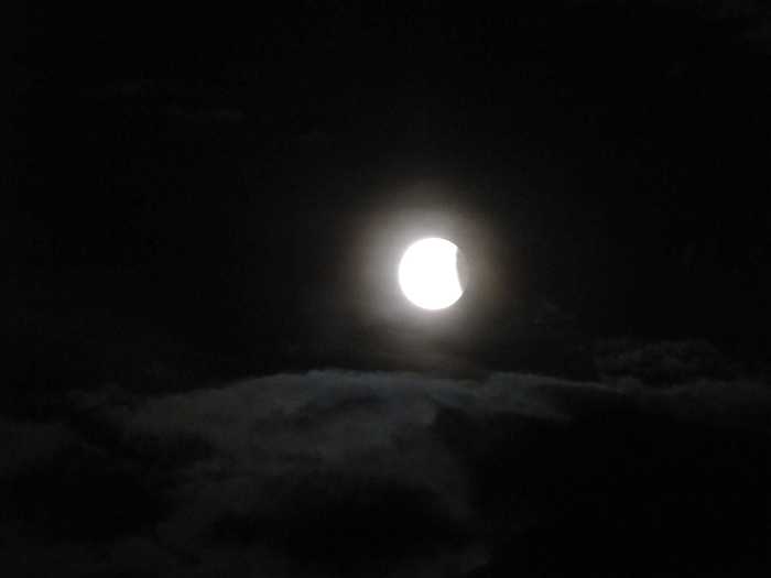IMG_5025.JPG