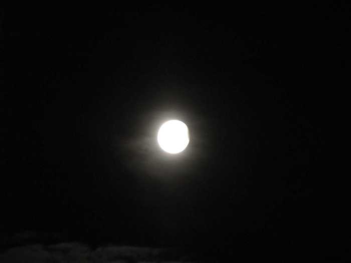 IMG_5030.JPG