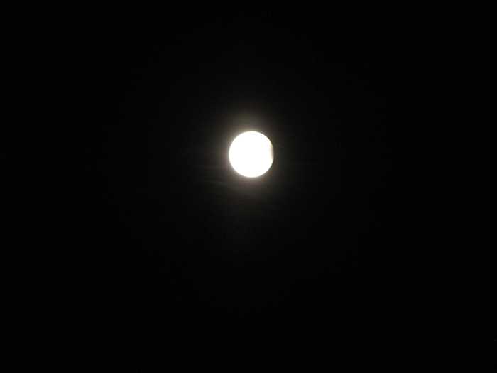 IMG_5033.JPG