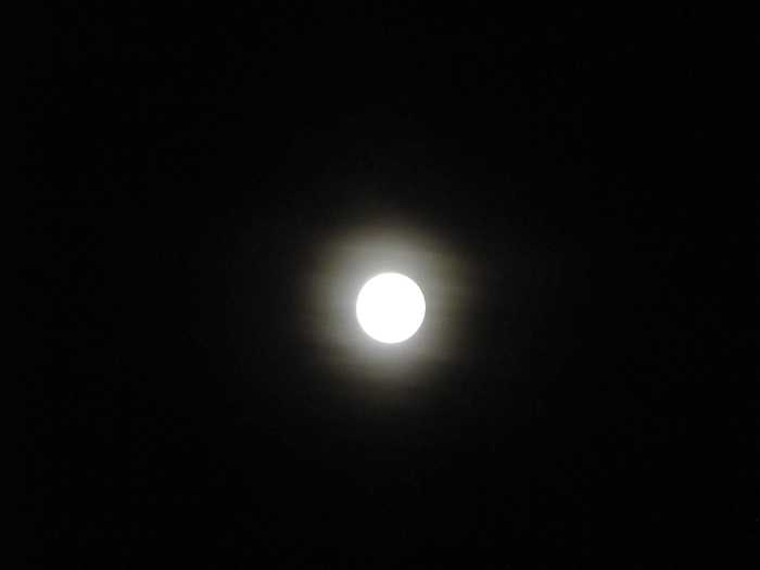 IMG_5053.JPG
